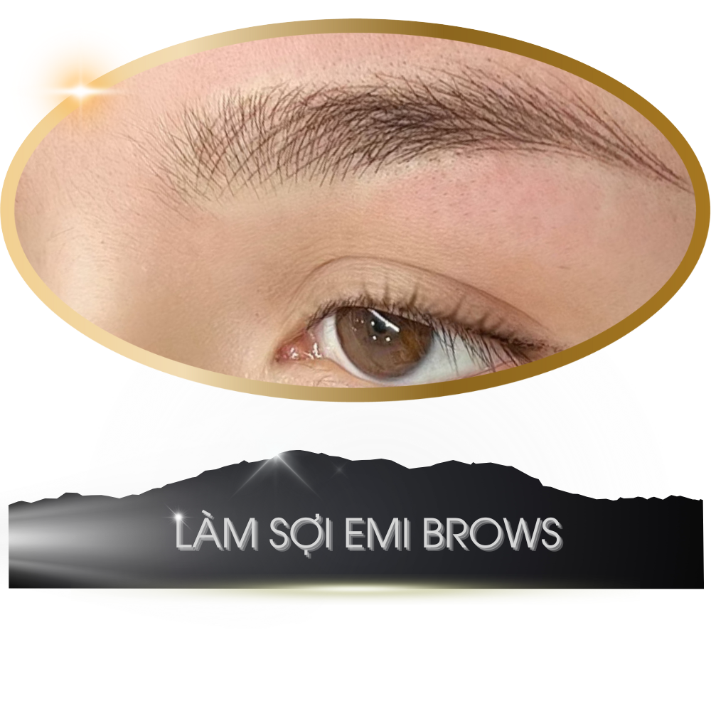 lam-soi-emi-brows